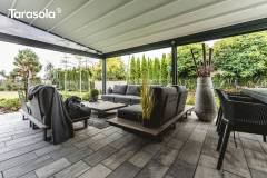 Tarasola_Elegancy-17