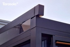 Tarasola_Elegancy_117