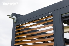 Tarasola_Elegancy_139