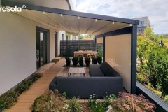 Tarasola_Elegancy_79